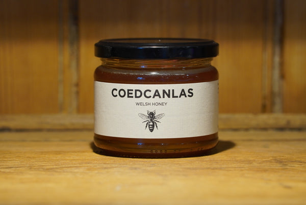Wild Welsh Honey, clear new season