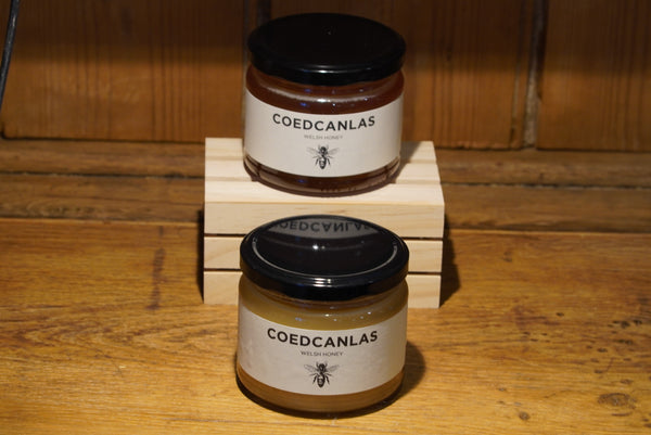 Wild Welsh Honey two jar pack